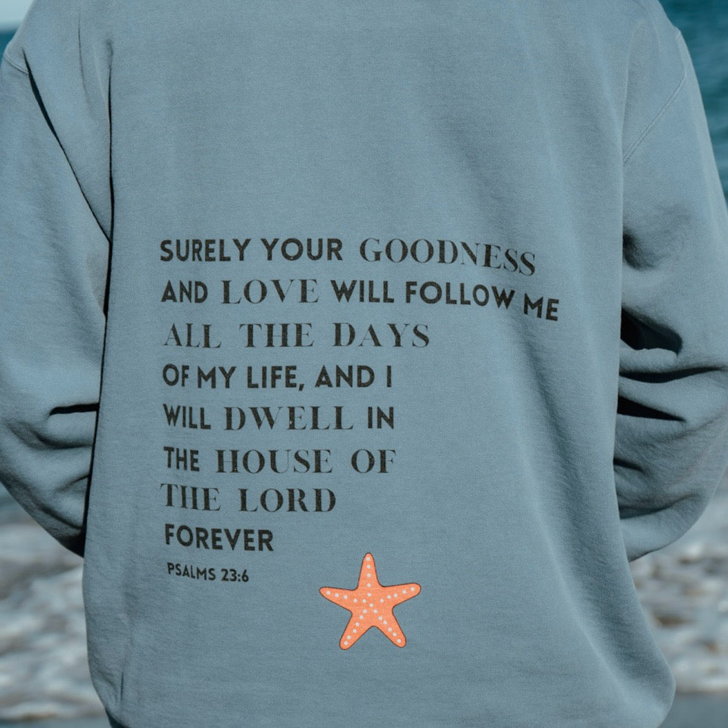 PSALMS 23:6 HOODIE