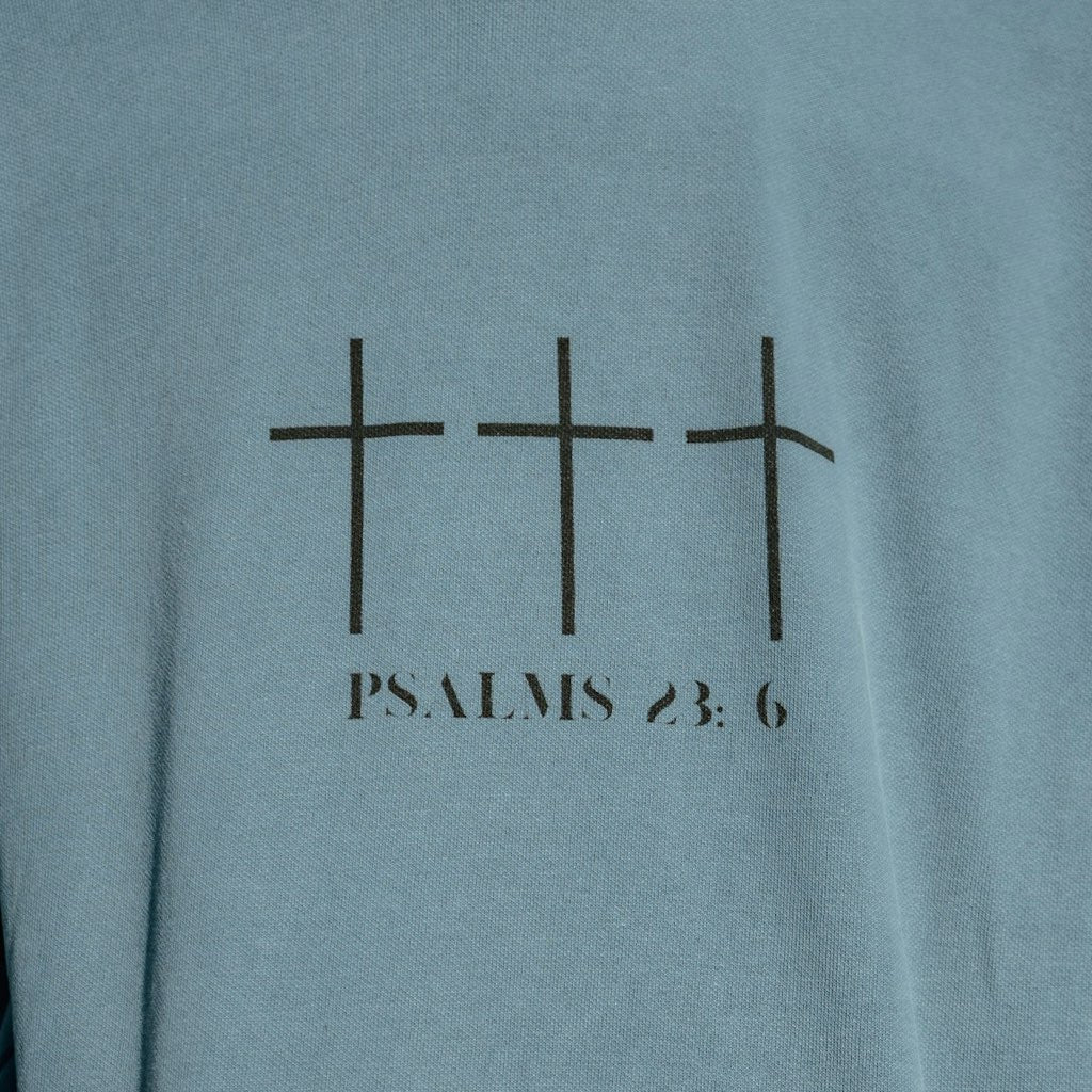 PSALMS 23:6 HOODIE